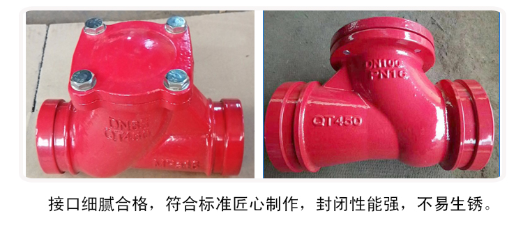 <strong>球墨铸铁球型止回阀</strong>